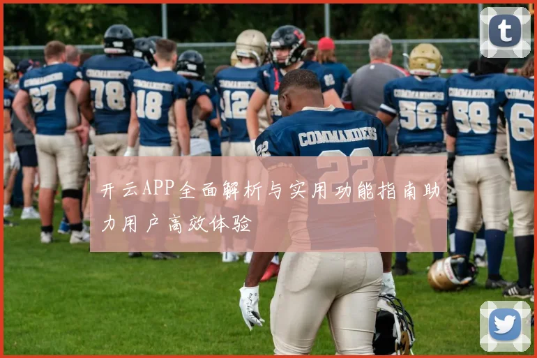 开云APP全面解析与实用功能指南助力用户高效体验