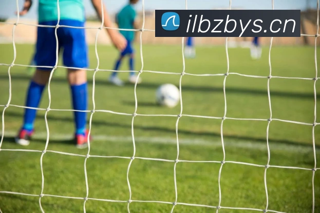 开云官网发展历程