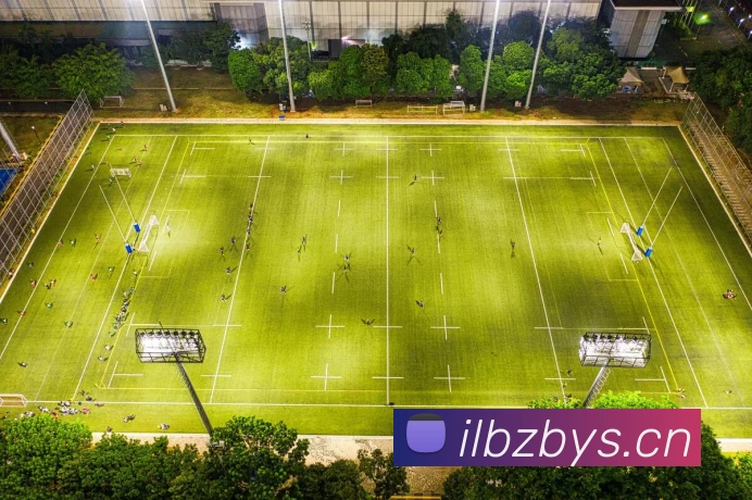 开云APP全面解析与实用功能指南助力用户高效体验